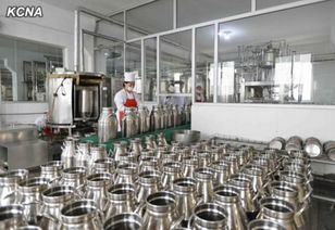 金正恩視察兒童食品廠 以責(zé)任之心守護(hù)下一代健康