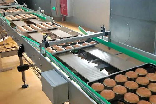 囍——恭祝四川食品廠十萬(wàn)級(jí)凈化車(chē)間成功投產(chǎn)，邁向綠色健康新紀(jì)元